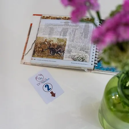 Casa de hóspedes Domus Magma