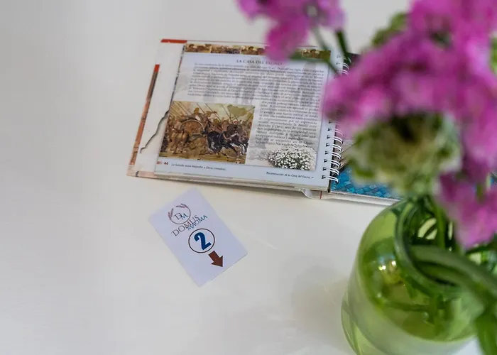 Casa de hóspedes Domus Magma