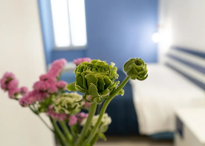 Casa de hóspedes Domus Magma