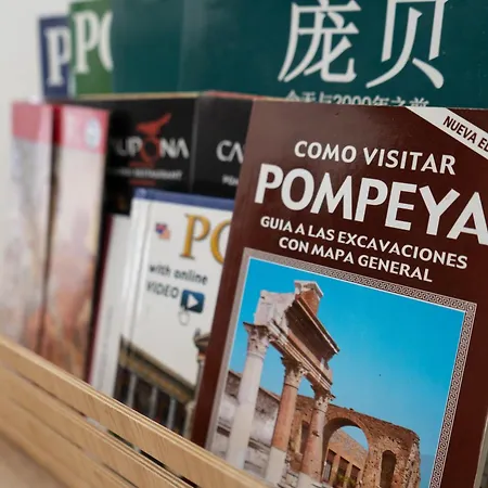 Domus Magma Pensión